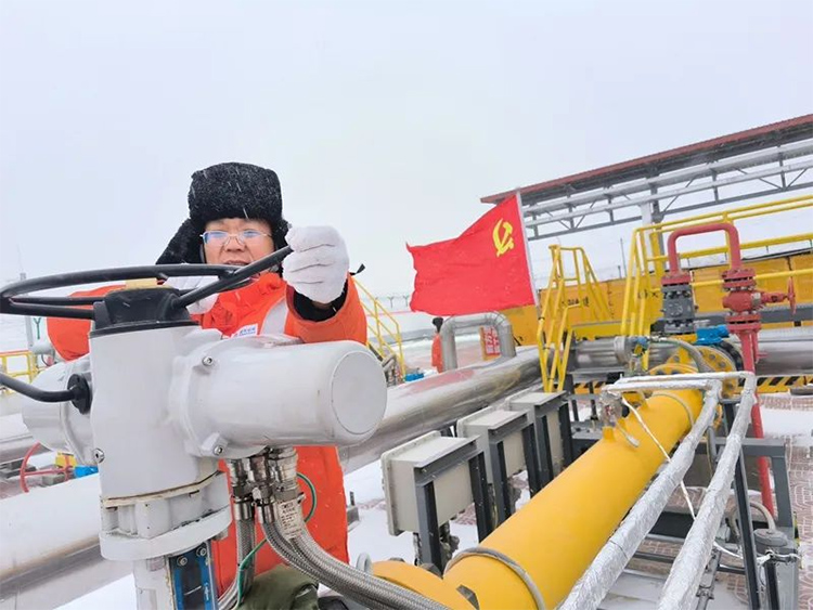 1699922451690357.jpg 2.jpg