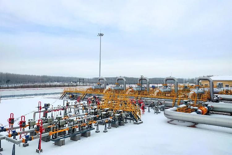 1701650299745518.jpg 1.jpg