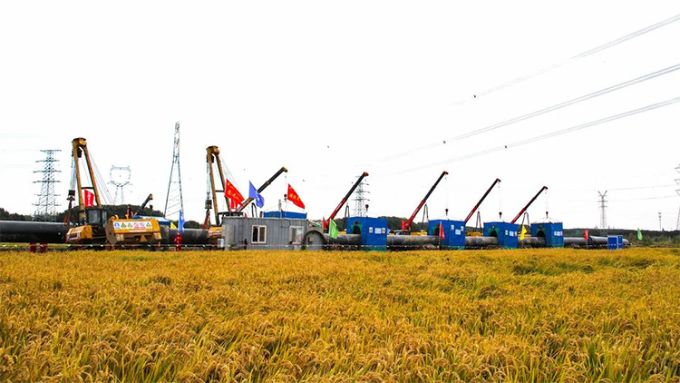 1701650331182330.jpg 4.jpg